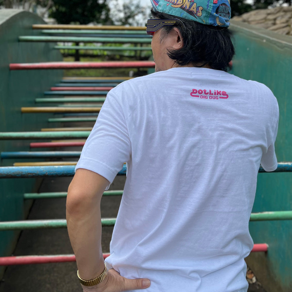 DIG DUG / かせきさいだぁ DDP3D