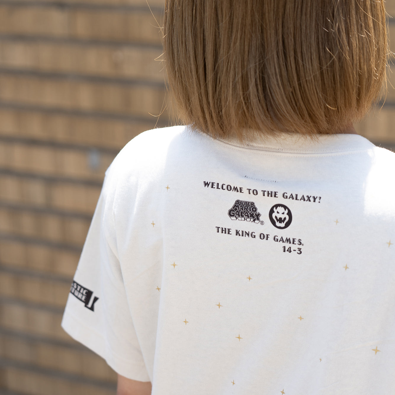 スーパーマリオギャラクシー / AIR SHIP