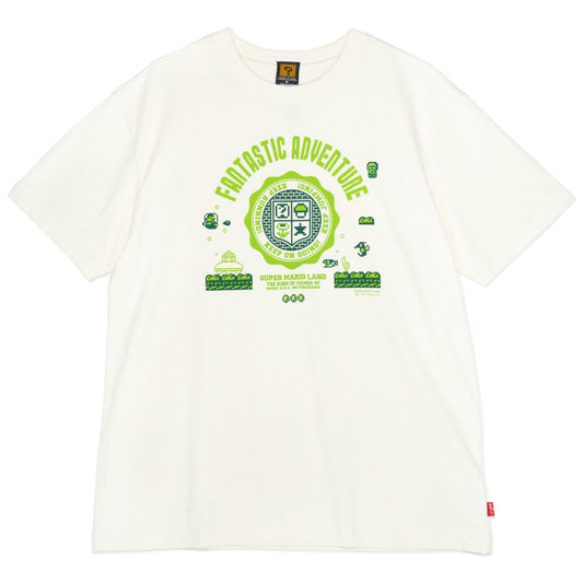 スーパーマリオランド / NEWマリオカレッジ