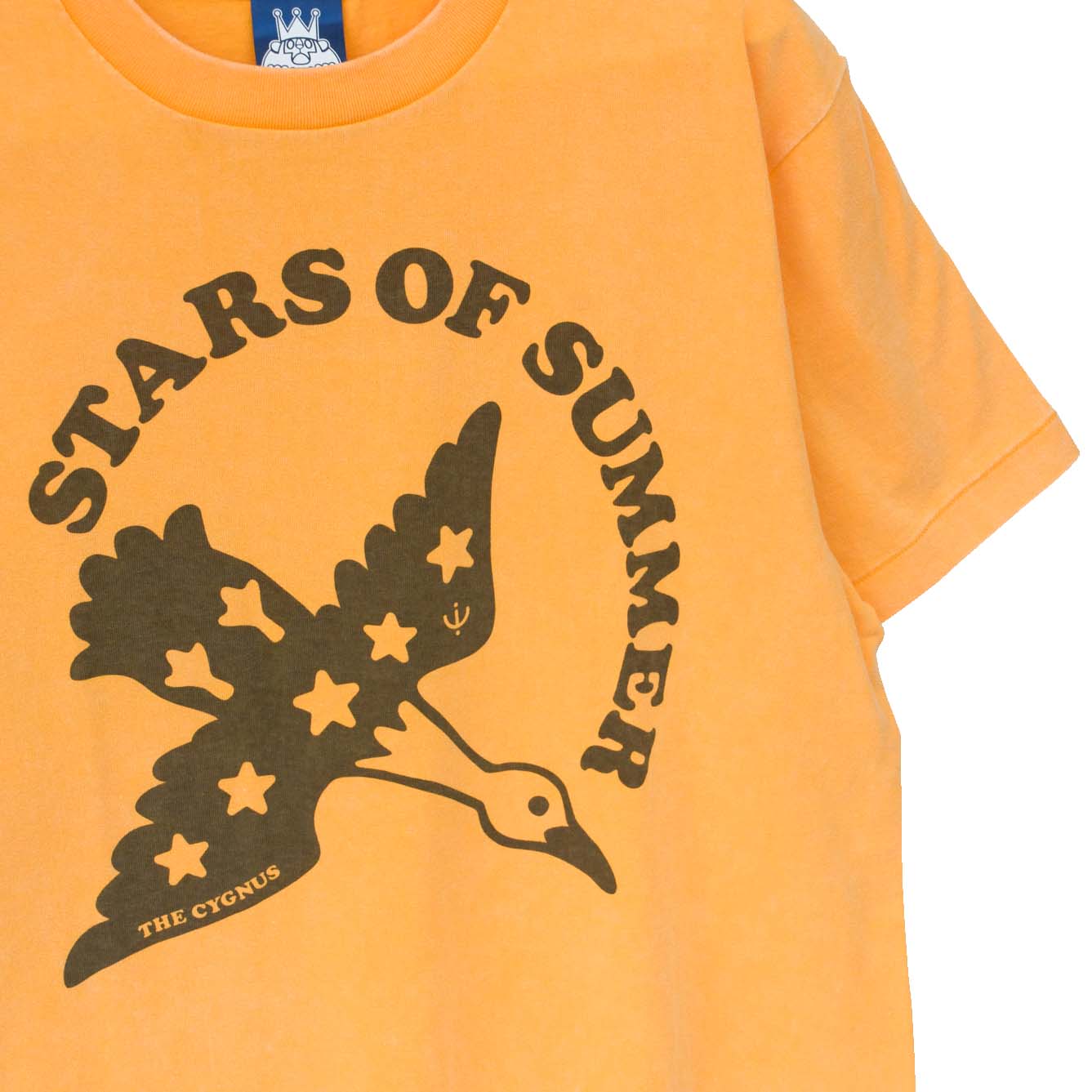 STARS OF SUMMER ハクチョウ座